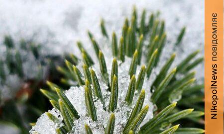 у Нікополі 2