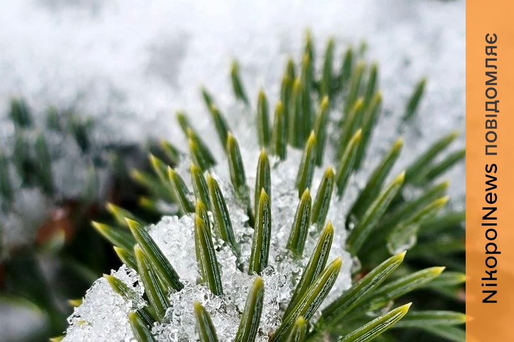 у Нікополі 2