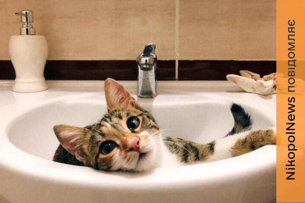 Аварія: у Нікополі 26 січня відключили воду в одному з районів 1 Аварія: у Нікополі 26 січня відключили воду в одному з районів