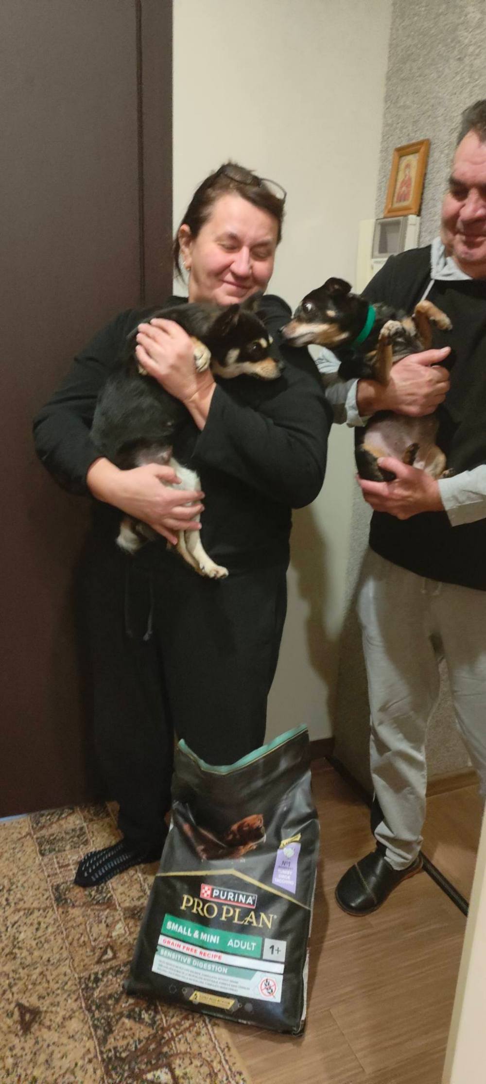 з Нікополя 2