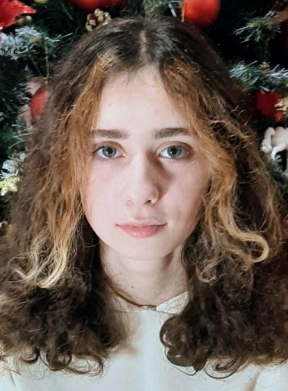 з Нікополя 2