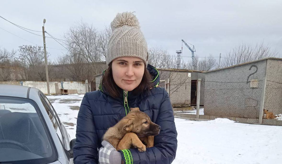 з Нікополя 3