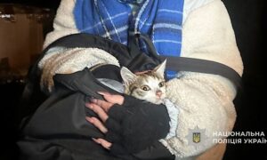 з Нікополя 3