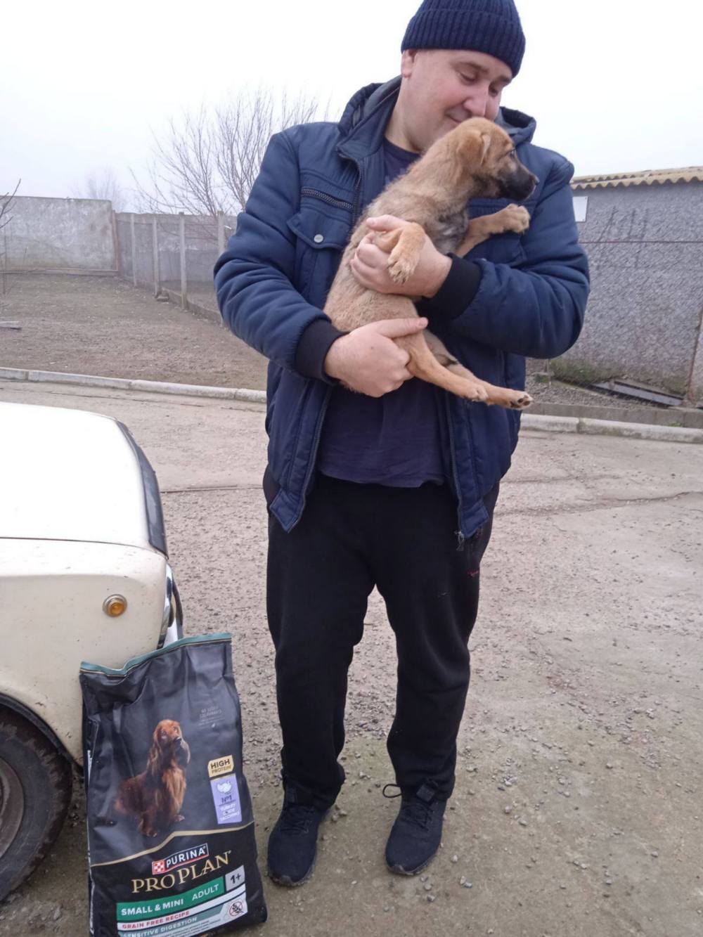 з Нікополя 5