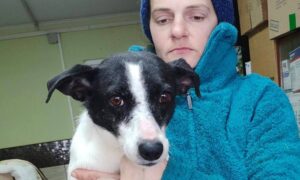 Від постійних вибухів почалася епілепсія: невиліковно хвора собачка з Нікополя знайшла родину у Німеччині