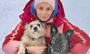 Була важко поранена на трубному заводі у Нікополі, але знайшла щастя у Польщі: неймовірна історія собачки Пепі (фото)