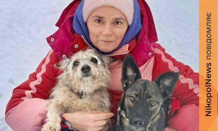 Була важко поранена на трубному заводі у Нікополі, але знайшла щастя у Польщі: неймовірна історія собачки Пепі (фото)