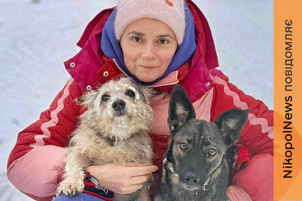 Була важко поранена на трубному заводі у Нікополі, але знайшла щастя у Польщі: неймовірна історія собачки Пепі (фото)
