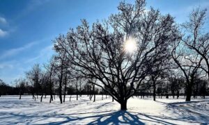 Як виглядав сонячний Нікополь у січні 2026 року (фото)