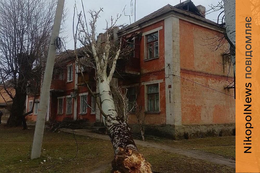 У Марганці велике дерево впало на будинок – соцмережі (фото) 1 У Марганці велике дерево впало на будинок – соцмережі (фото)