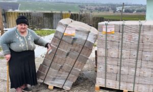 Гуманітарна допомога у Томаківській громаді: мешканці отримують продукти і паливні брикети (фото)