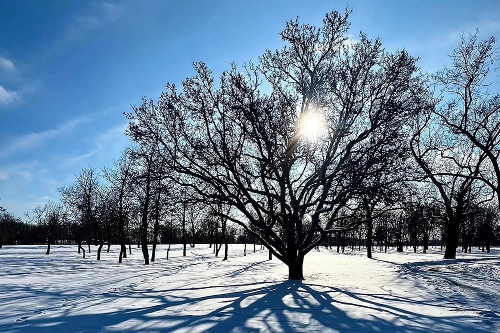 Як виглядав сонячний Нікополь у січні 2026 року (фото) 1 Як виглядав сонячний Нікополь у січні 2026 року (фото)