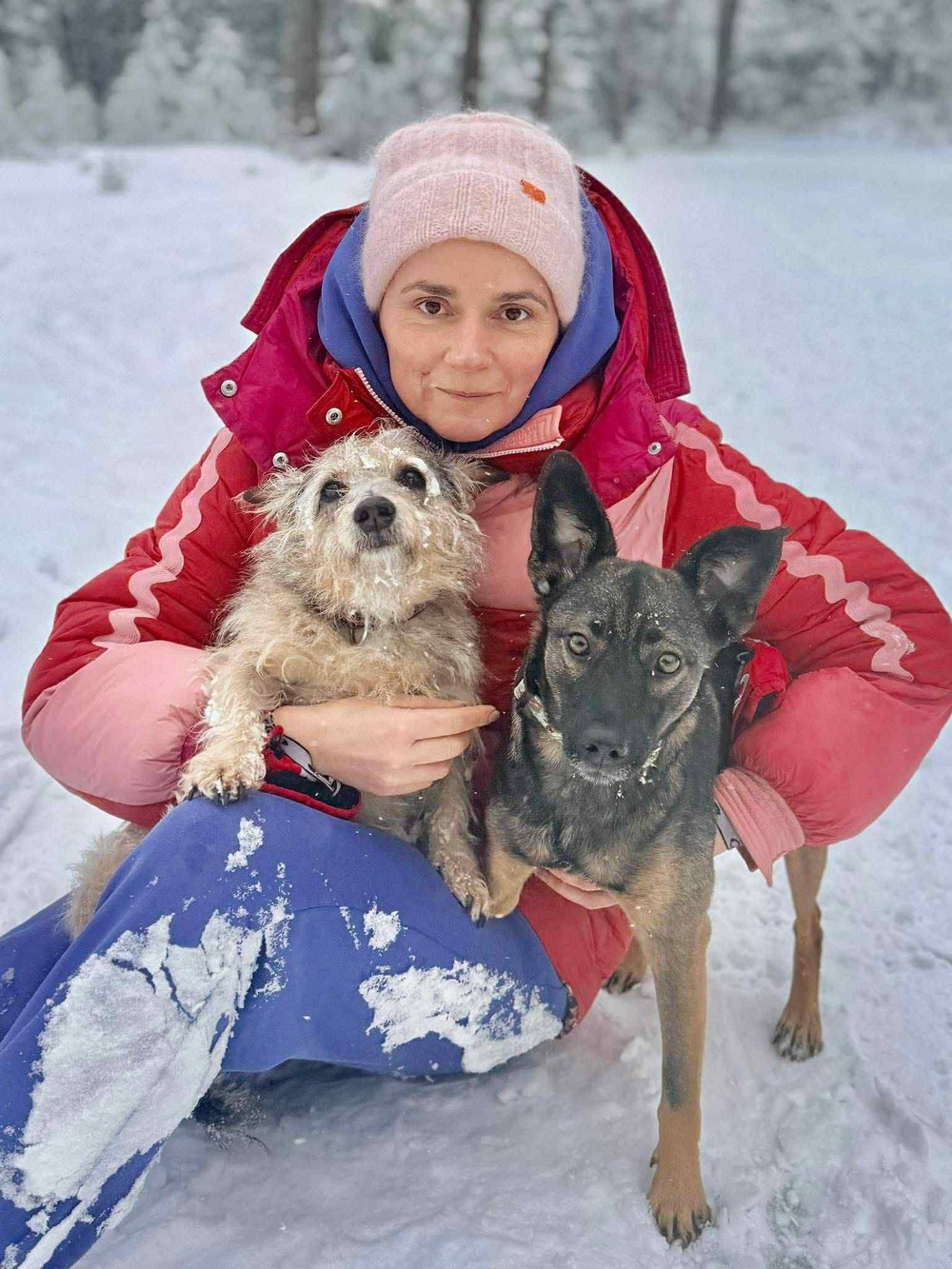 Була важко поранена на трубному заводі у Нікополі, але знайшла щастя у Польщі: неймовірна історія собачки Пепі (фото)