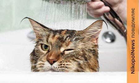 Аварія: у Нікополі 23 лютого відключили воду в одному з районів