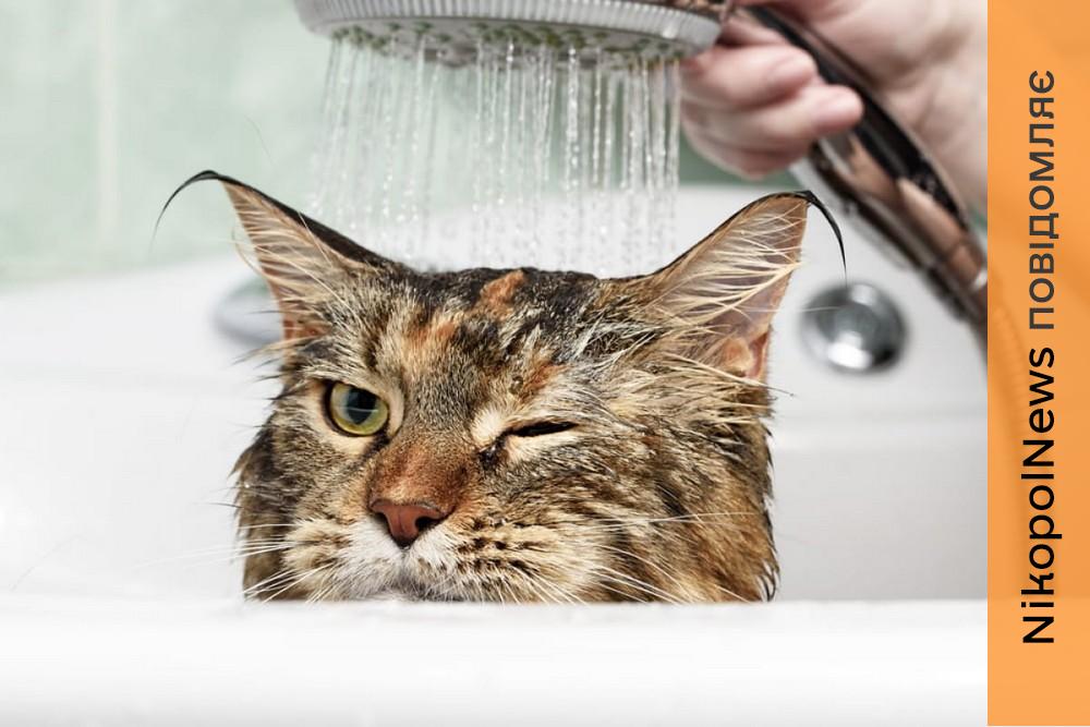 Аварія: у Нікополі 23 лютого відключили воду в одному з районів