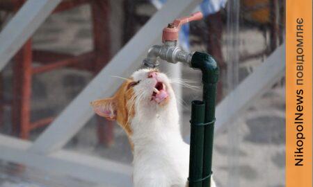 Аварія: у Нікополі 19 лютого відключили воду в одному з районів