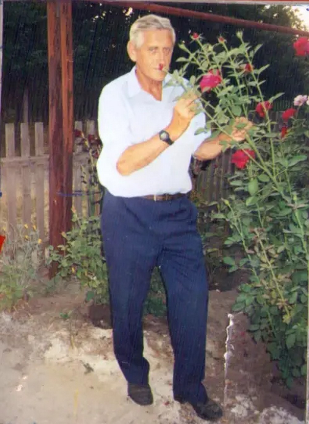 Л.С. Боровик