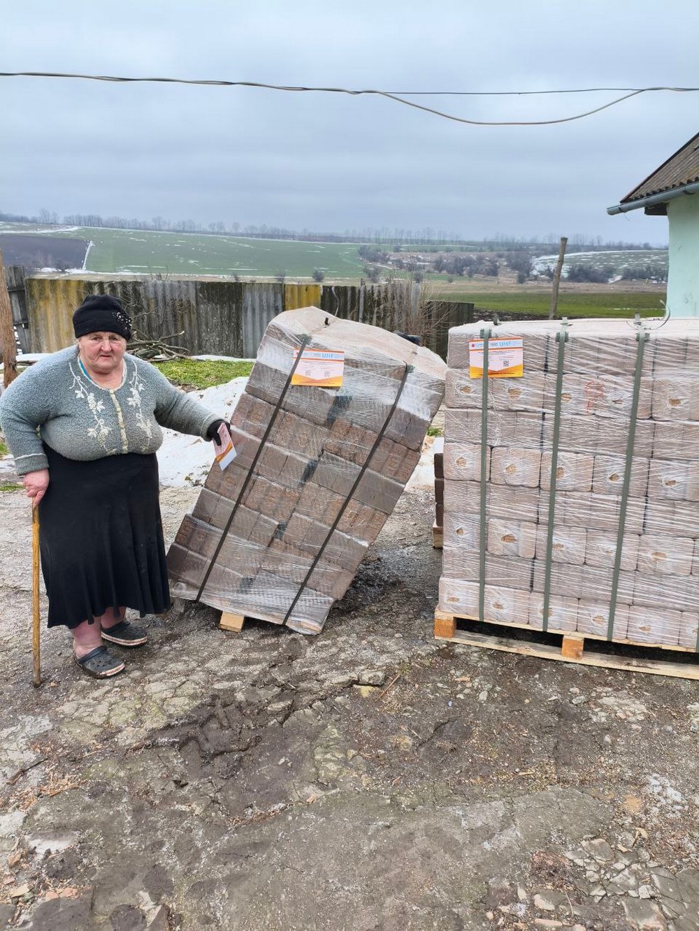 Гуманітарна допомога у Томаківській громаді: мешканці отримують продукти і паливні брикети (фото) Гуманітарна допомога у Томаківській громаді: мешканці отримують продукти і паливні брикети (фото)