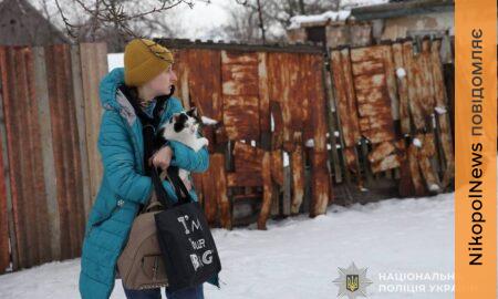 Залишалася під обстрілами з дитиною, бо не могла кинути тваринок: на Дніпропетровщині триває евакуація (фото)