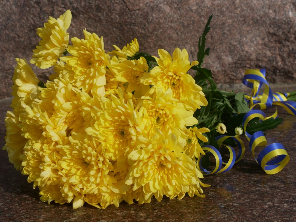 У Покрові сьогодні, 20 лютого, вшанували пам’ять Героїв Небесної Сотні. У Покрові сьогодні, 20 лютого, вшанували пам’ять Героїв Небесної Сотні