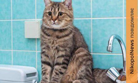 Аварія: у Нікополі 4 лютого відключили воду в одному з районів – мешканців просять мати запас