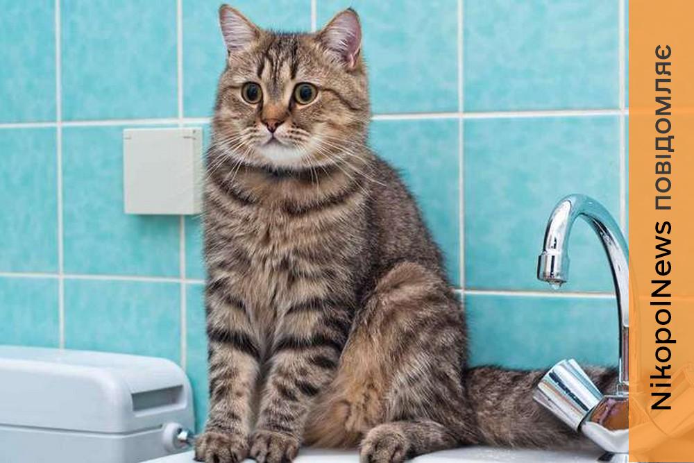 Аварія: у Нікополі 4 лютого відключили воду в одному з районів – мешканців просять мати запас