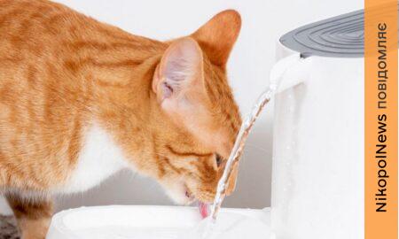 Аварія: у Нікополі 9 лютого відключили воду в одному з районів