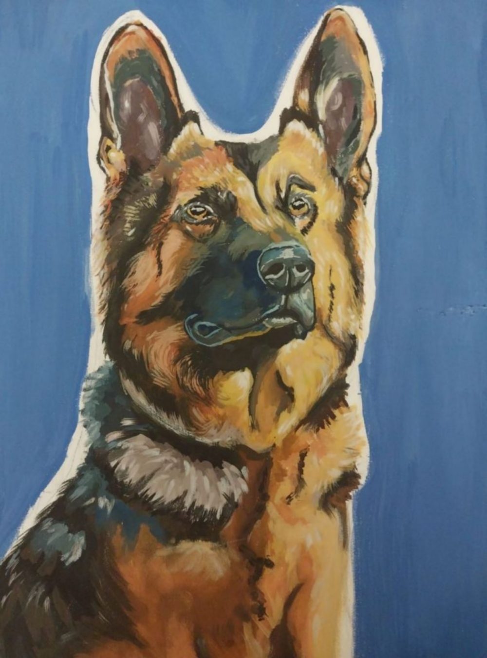 Нікопольщини