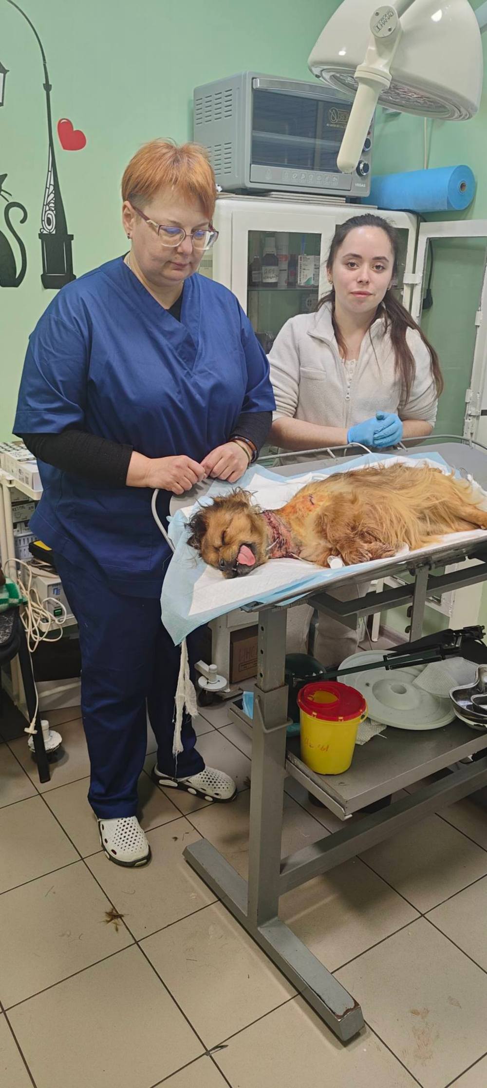 У Нікополі з шиї собаки 2