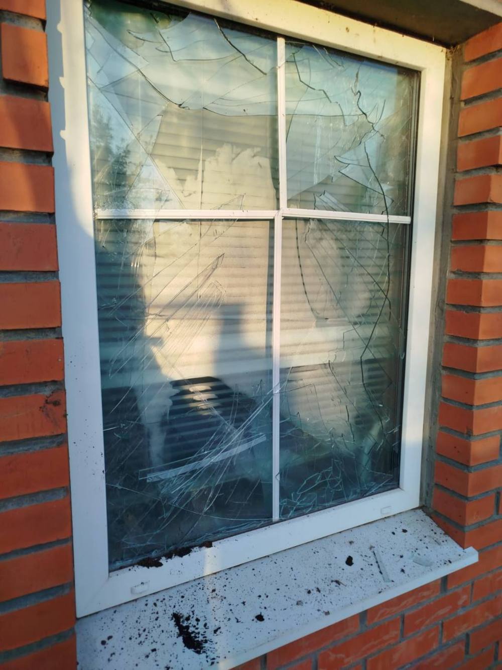 У Нікополі 6