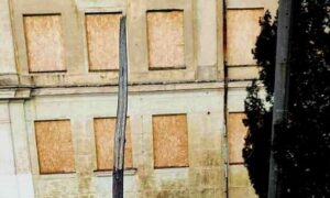 В різних районах Марганця зламали молоді клени