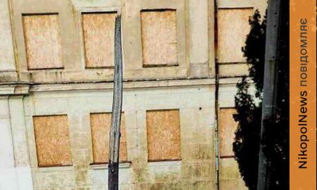 В різних районах Марганця зламали молоді клени