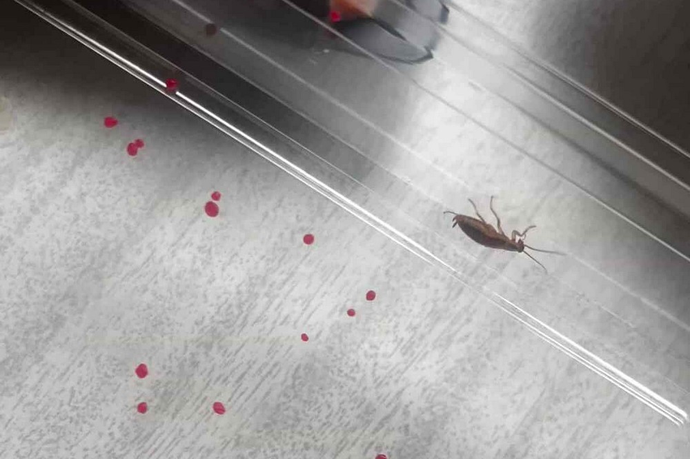 Жителька Нікополя поділилася Жителька Нікополя поділилася