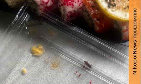 Жителька Нікополя поділилася 2