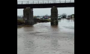 На Нікопольщині дорога пішла під воду, підтопило міст – соцмережі (відео)