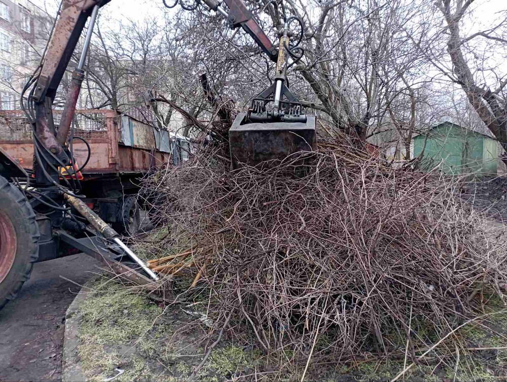 дерева 1 дерева 1