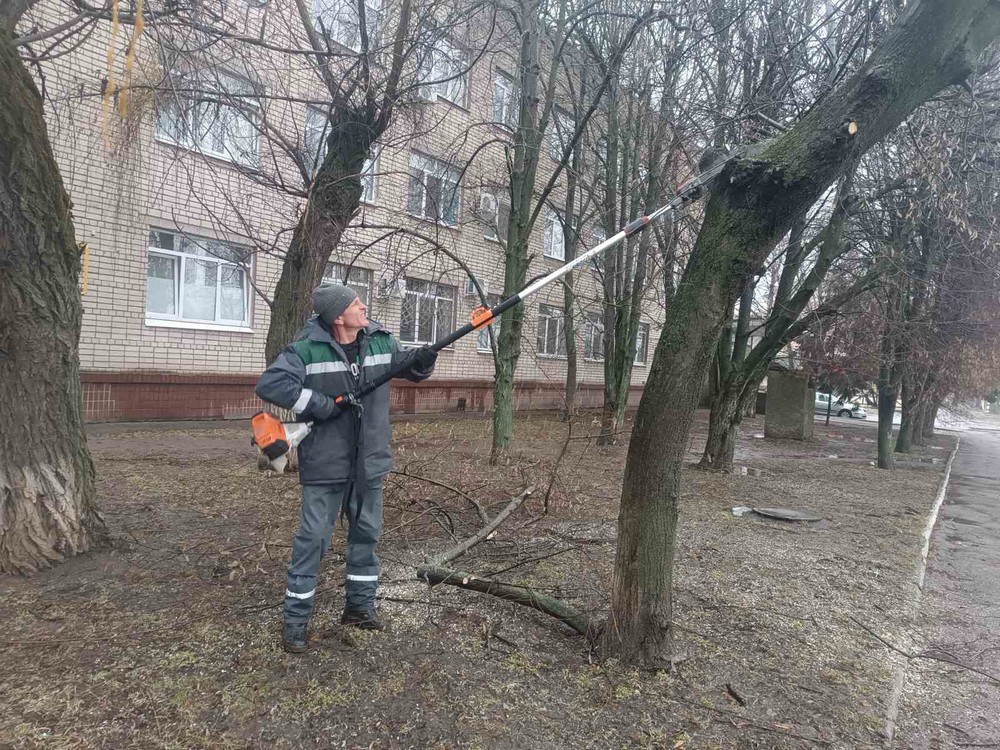 дерева дерева