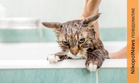 У Нікополі 2 лютого відключили воду в одному з районів