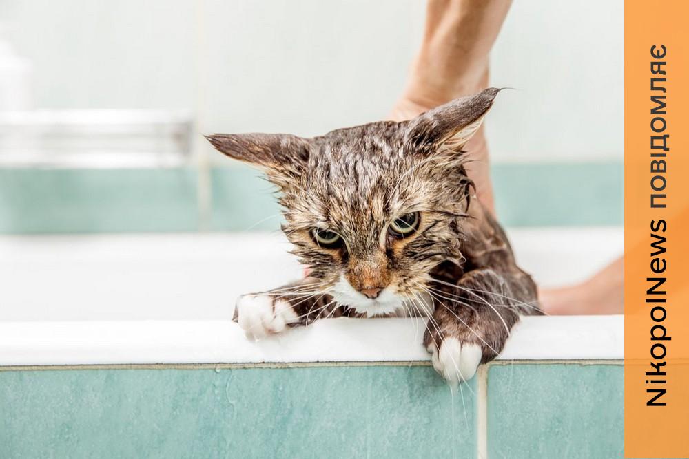 У Нікополі 2 лютого відключили воду в одному з районів 1 У Нікополі 2 лютого відключили воду в одному з районів