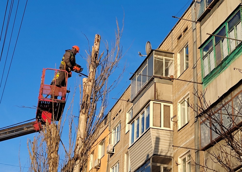 мережі дерева