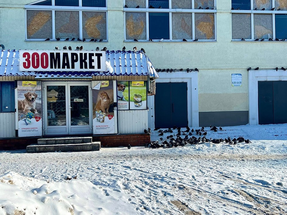 нікополь у січні (14) нікополь у січні (14)