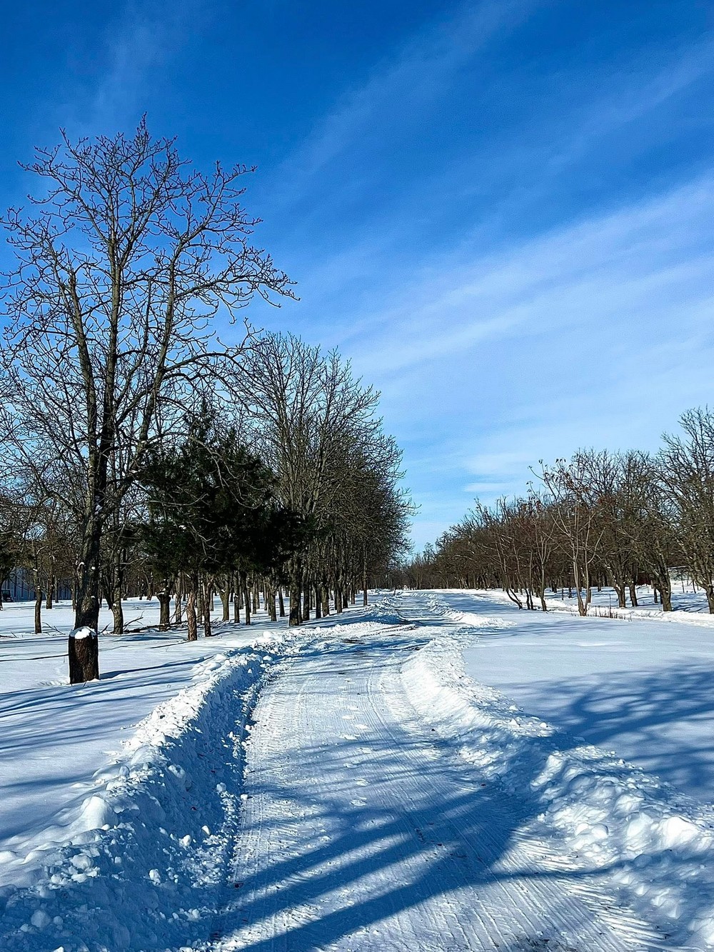 нікополь у січні (5) нікополь у січні (5)