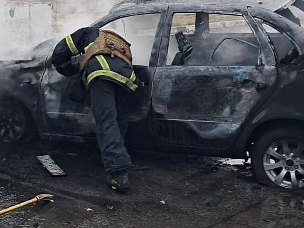 photo 2026 02 13 18 31 42 (2) photo 2026 02 13 18 31 42 (2)