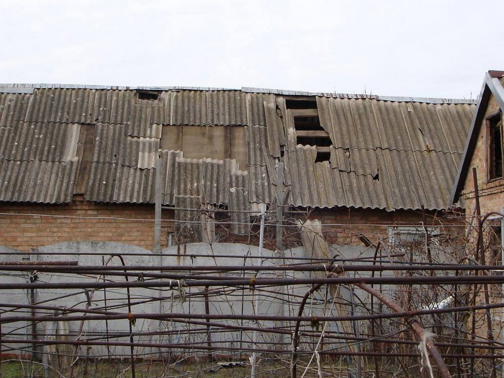 photo 2026 02 13 18 31 43 (3) photo 2026 02 13 18 31 43 (3)