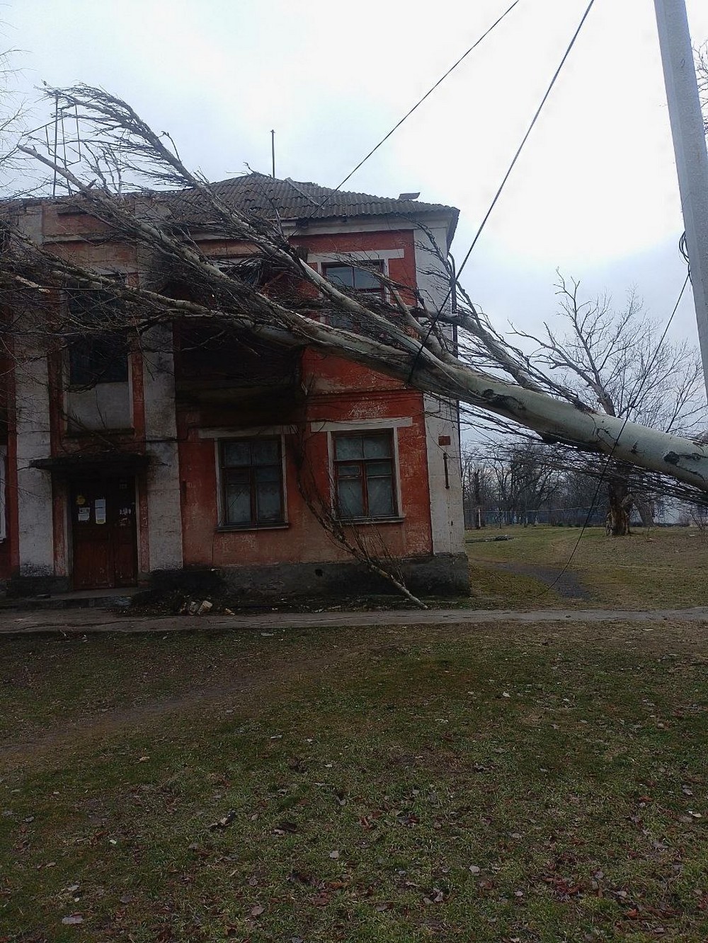 У Марганці велике дерево впало на будинок: фото У Марганці велике дерево впало на будинок: фото