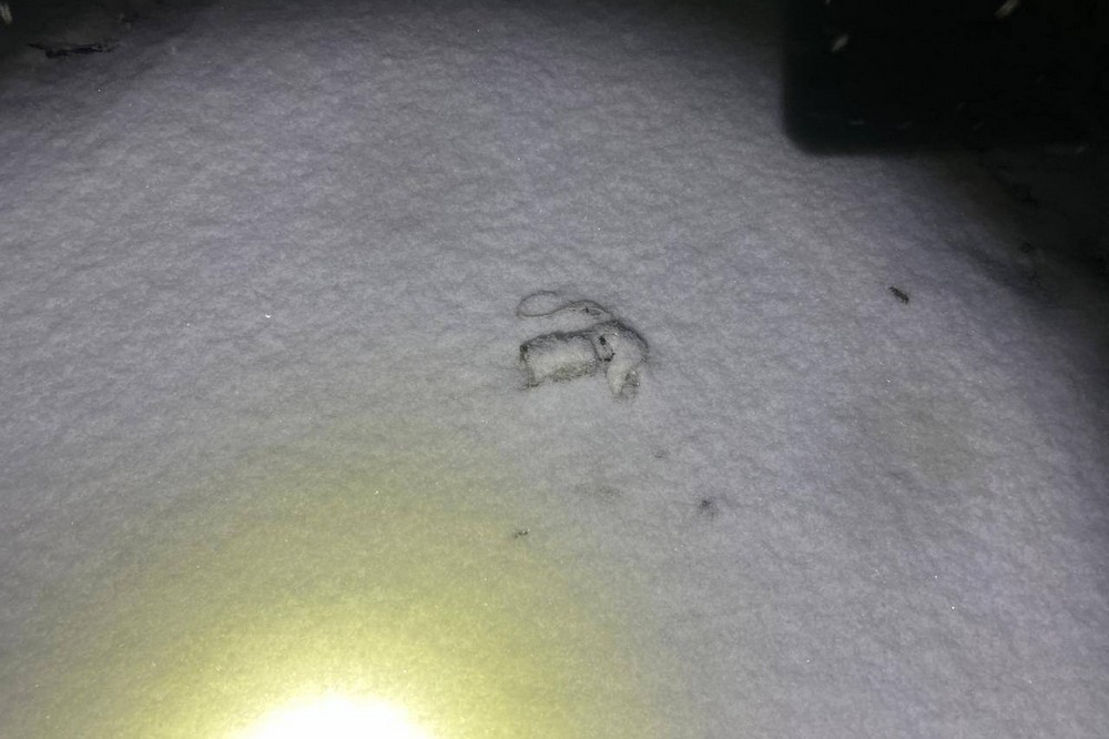 Після обстрілу на Нікопольщині виявили нерозірвані касетні суббоєприпаси (фото) Після обстрілу на Нікопольщині виявили нерозірвані касетні суббоєприпаси (фото)