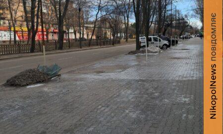 погода у Нікополі 12 лютого