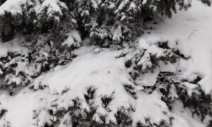 погода у Нікополі 2