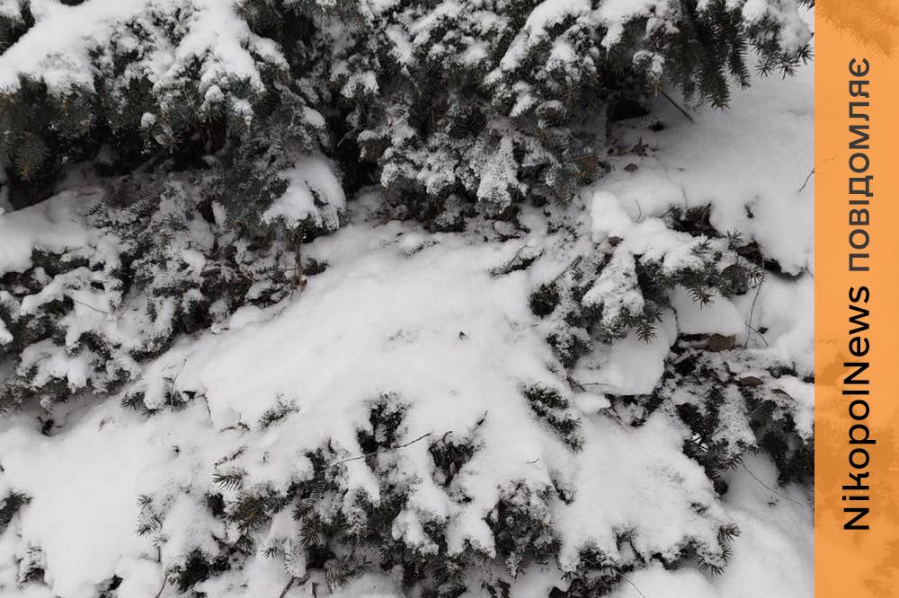 погода у Нікополі 2