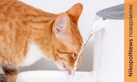 у Нікополі 21 лютого відключили воду в одному з районів